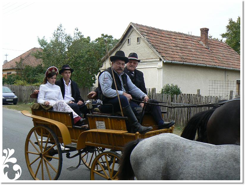 Szuret Felv es Bal_060